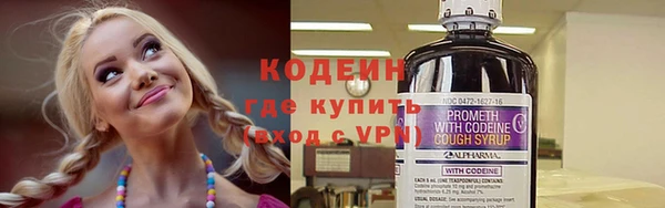 соль ск Новодвинск