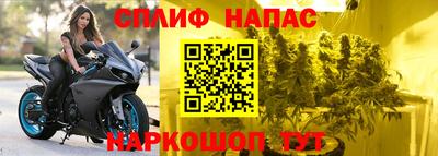 ешки Будённовск