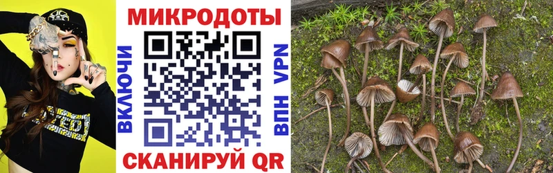 Псилоцибиновые грибы мухоморы  мориарти формула  Лосино-Петровский 