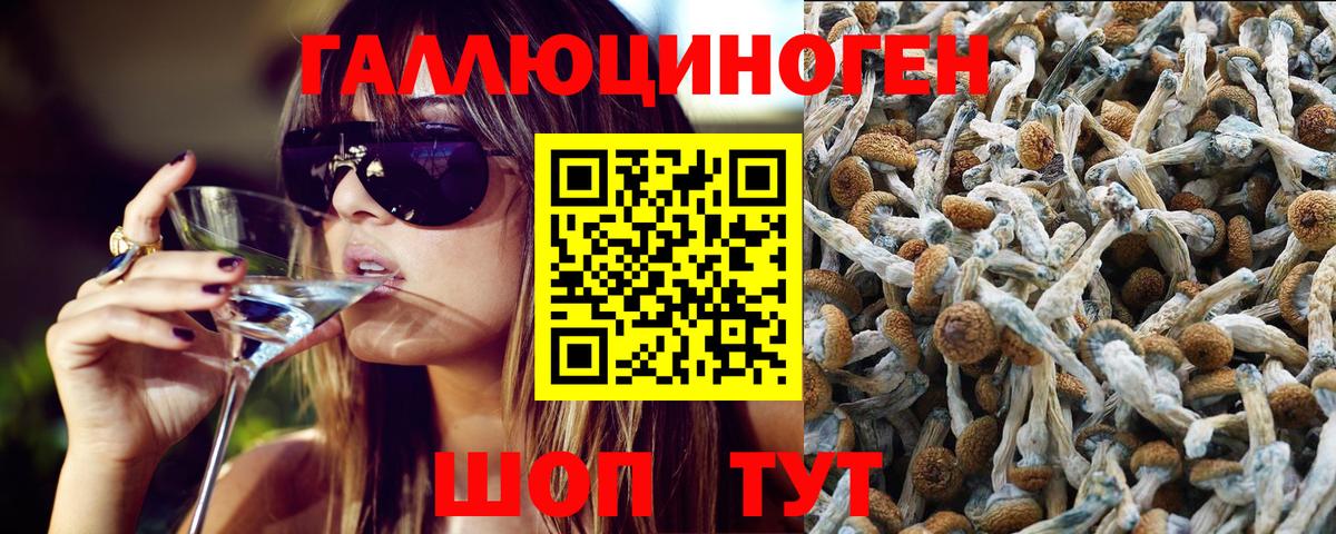 Лосино-Петровский  Галлюциногенные грибы GOLDEN TEACHER  Вход с VPN 