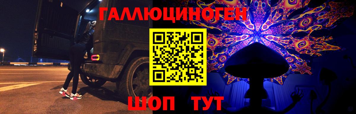 Псилоцибиновые грибы прущие грибы Лосино-Петровский