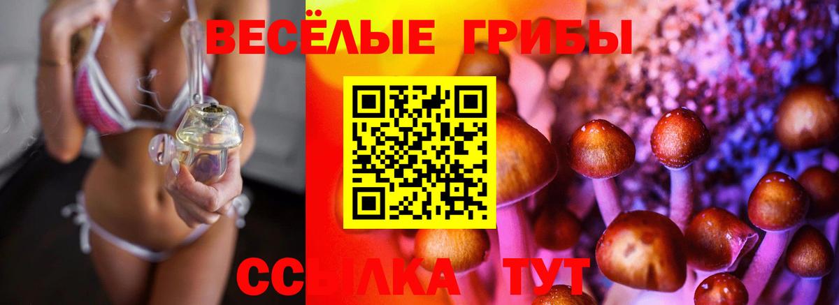 Псилоцибиновые грибы Magic Shrooms  Псилоцибиновые грибы ЛСД  Лосино-Петровский 